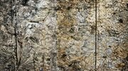 wall, texture, color wallpapers