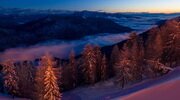 forest, christmas tree, mountains, night, snow, magic forest wallpapers