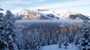 ate, winter, mountains, fog, forest, snow wallpapers