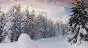 tree, the snow, forest, snow, mountains, winter, clouds wallpapers