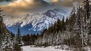 snow, mountains, winter, forest, road wallpapers
